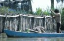 Fisherman, Sinamaica